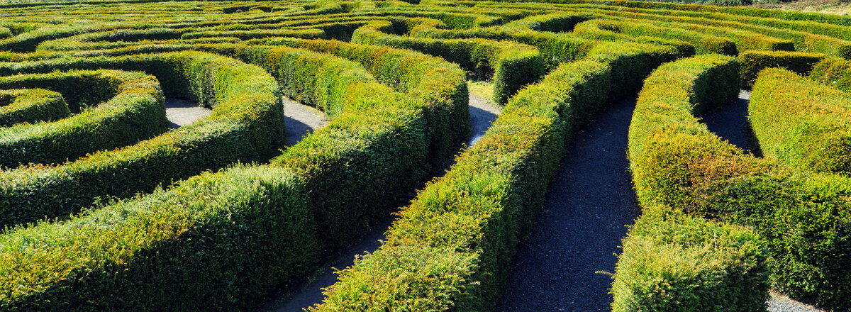 Heckenlabyrinth mit blauem Himmel